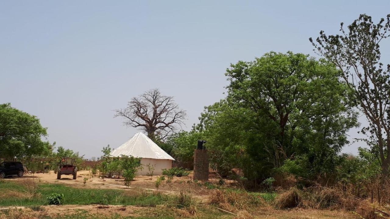 Camping Sitaba Lodge Georgetown Eksteriør billede