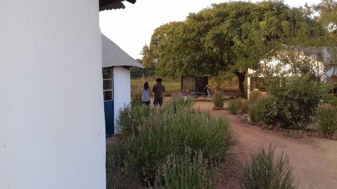 Camping Sitaba Lodge Georgetown Eksteriør billede